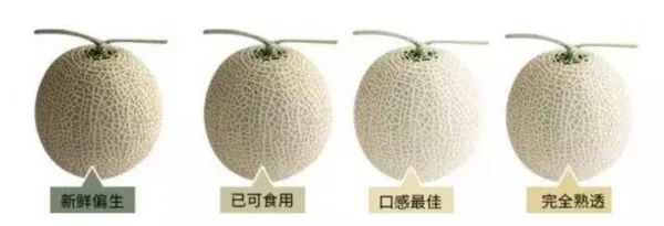 最新网红水果,目前最火的网红水果