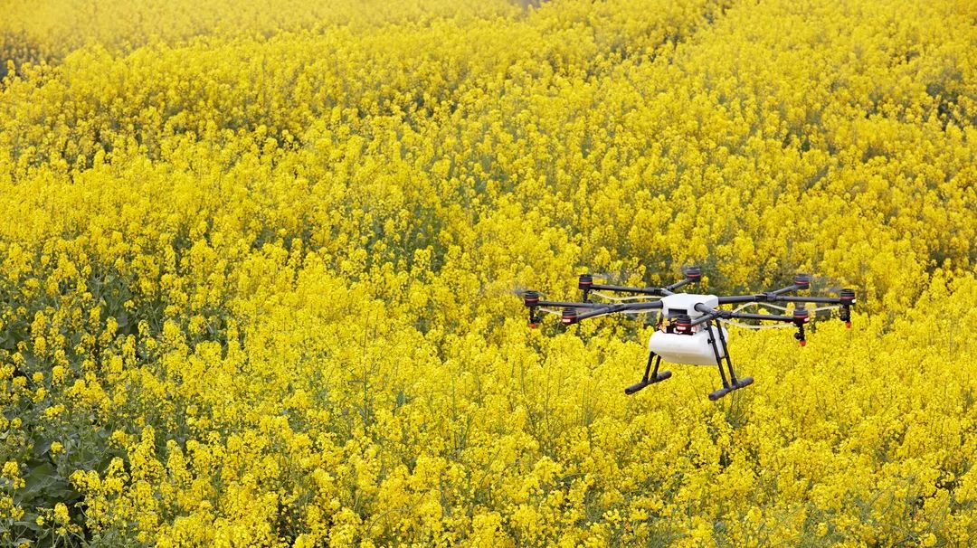 改革开放40年的得与失的经验教训,40年前的改革开放有什么困难之处