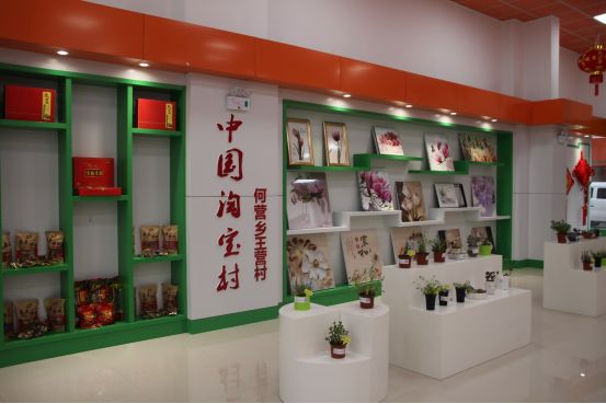 夏邑县特色农村,夏邑县前十村庄