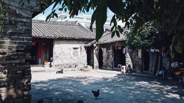 三亚崖州旅游攻略最新,三亚攻略自由行崖州