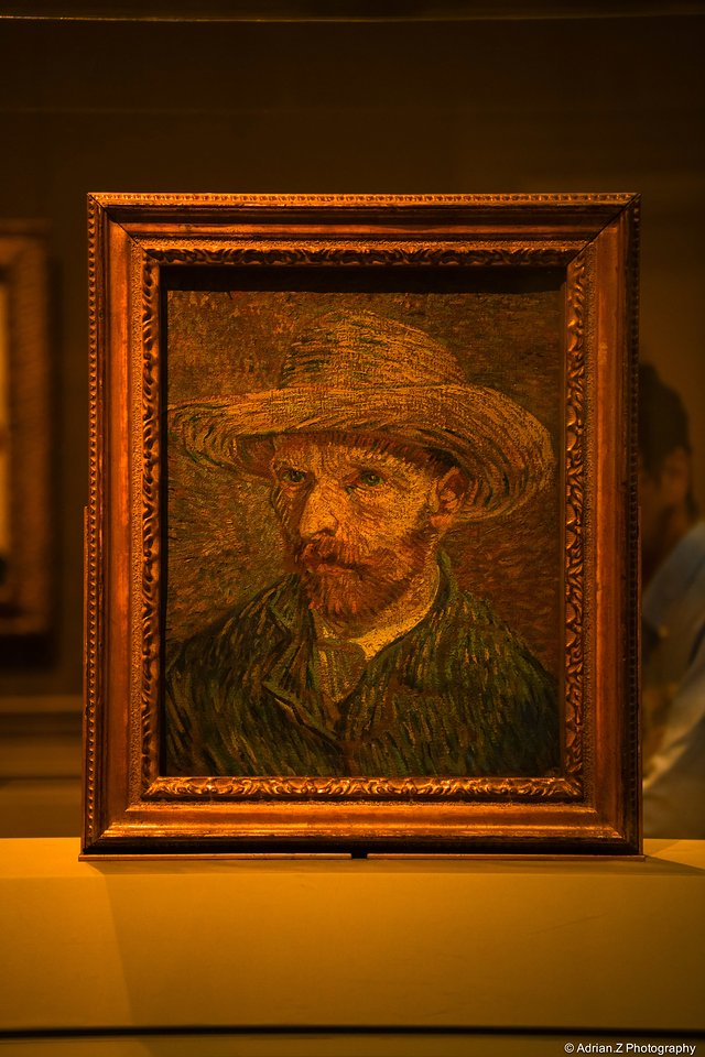 疯狂美国,疯狂美国完全视频