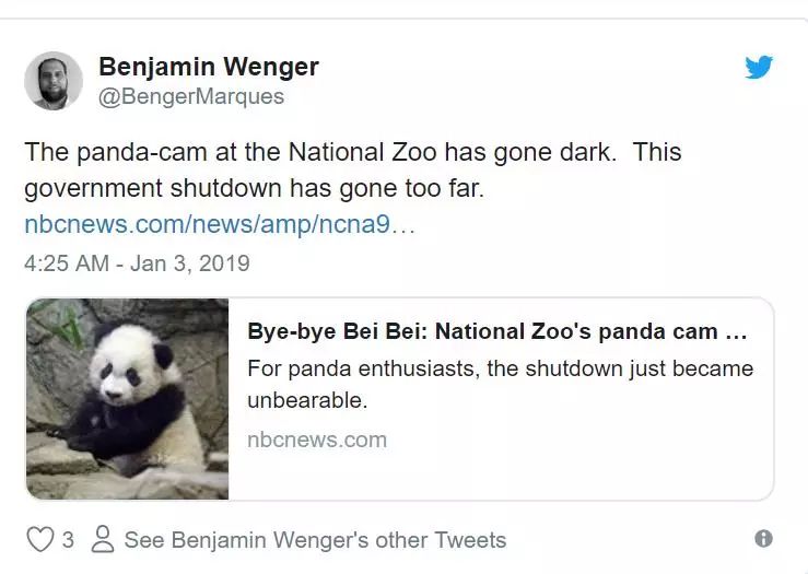 美国政府关门，“直播熊猫”画面被掐！美国网友炸锅：你们把我惹毛了