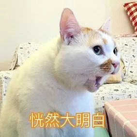 日偏食上演的日食,日偏食和月食