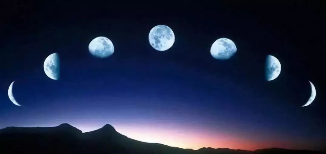 2019猪年星座运势,2019猪天蝎座全年运势