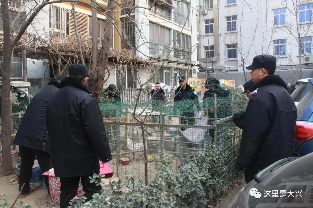 疏解整治促提升重点村,整治提升和整村拆除有啥区别