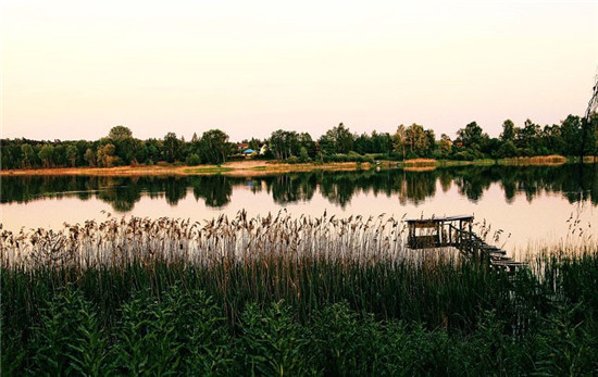 阴虚导致的盗汗是什么症状,阴虚盗汗是什么原因引起的