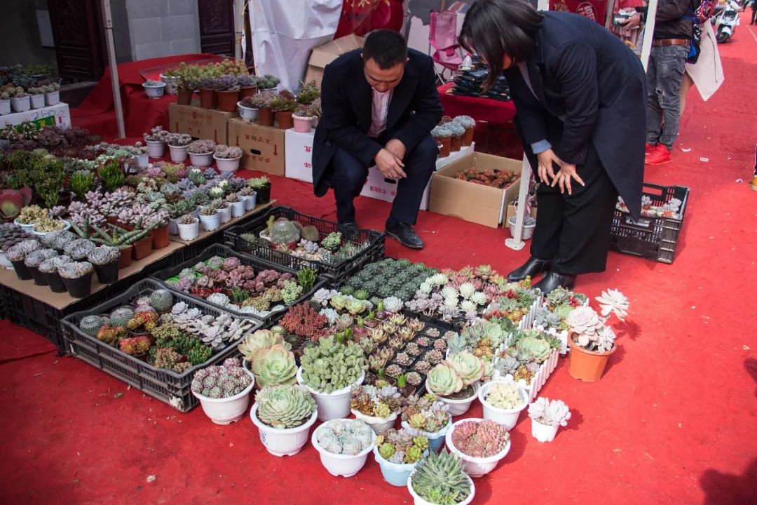 云南弥勒年货展销会,活动弥勒佛