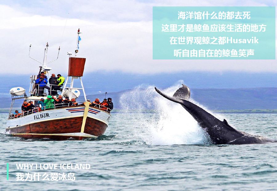 冰岛追逐极光之旅,冰岛追寻极光之旅