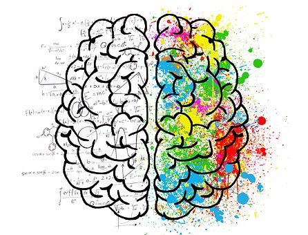 2023国家科学技术进步奖,2023年国家科学技术进步奖有几位