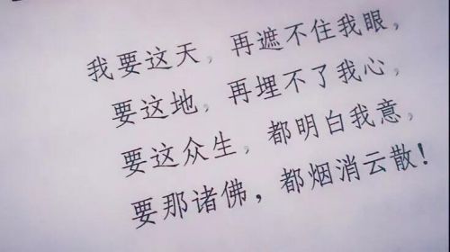 网红沉浮录,网红沉浮录图片大全