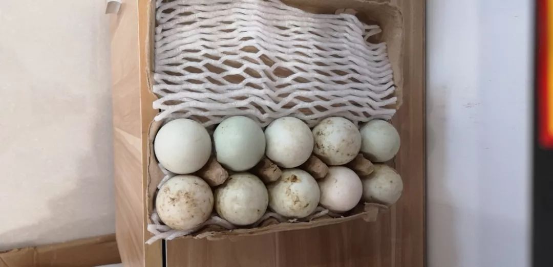 一站式买全！余杭这家土鲜店把纯正的土货都搬来了！酱鸭、毛腌鸡、猪头肉……