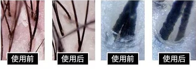 真正有营养的洗发皂,爆火的洗发皂