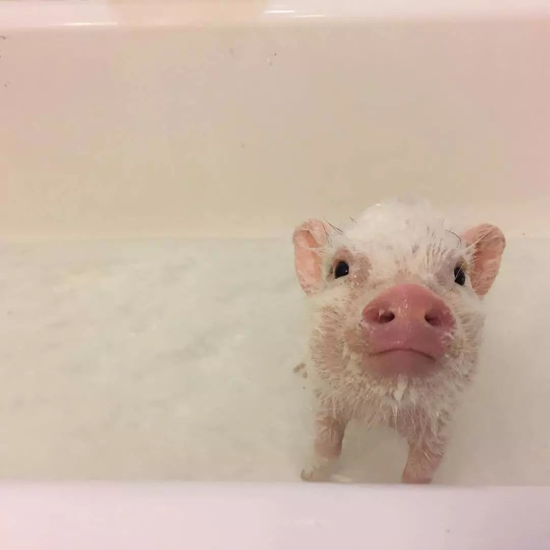 揭穿身边的骗局文章,揭穿新骗局视频