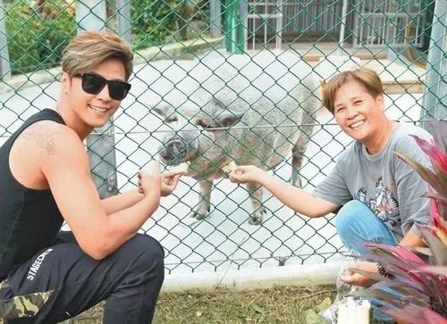 揭穿身边的骗局文章,揭穿新骗局视频