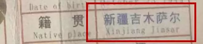 被这个翻译气笑了！但更扯的是它背后的组织……