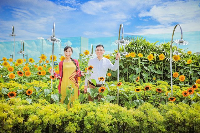 樟宜机场出境攻略,樟宜机场游玩攻略