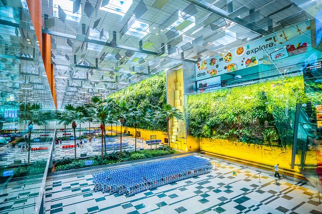 樟宜机场出境攻略,樟宜机场游玩攻略