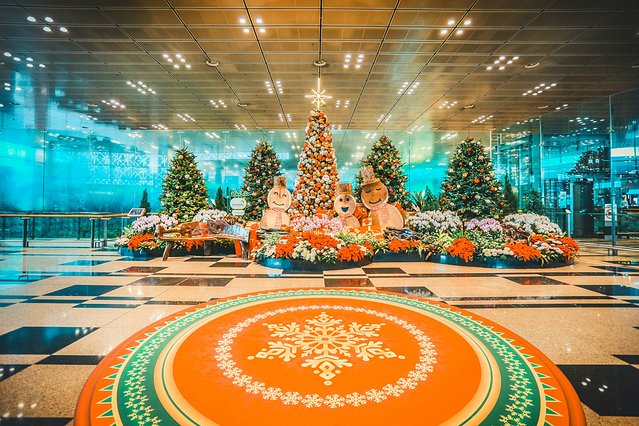 樟宜机场出境攻略,樟宜机场游玩攻略