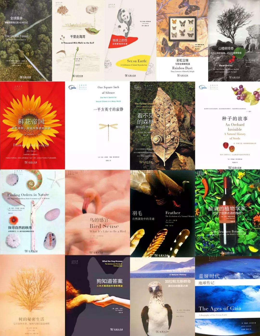 年货精选分享,年货精选30本哲学好书