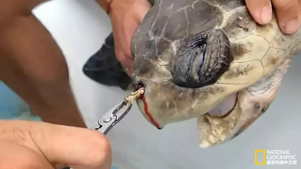 00后要学会拒绝,为什么不让使用塑料吸管