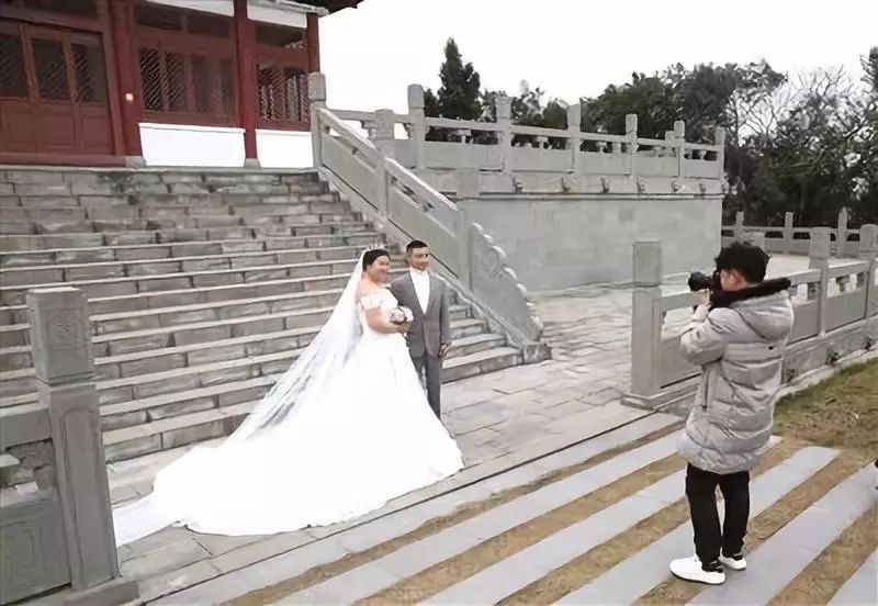 打造美丽宜居公园城市,建设和谐美丽宜居的公园城市