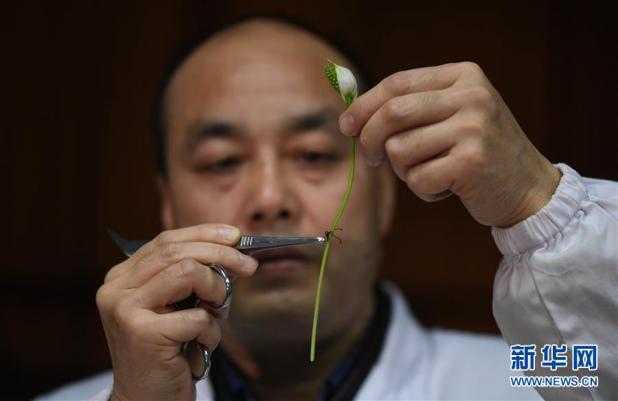 来者不拒！外科医生竟拿它们来练手