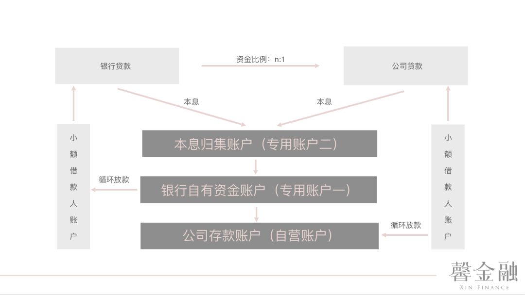 暴风眼中,风暴眼中的石家庄