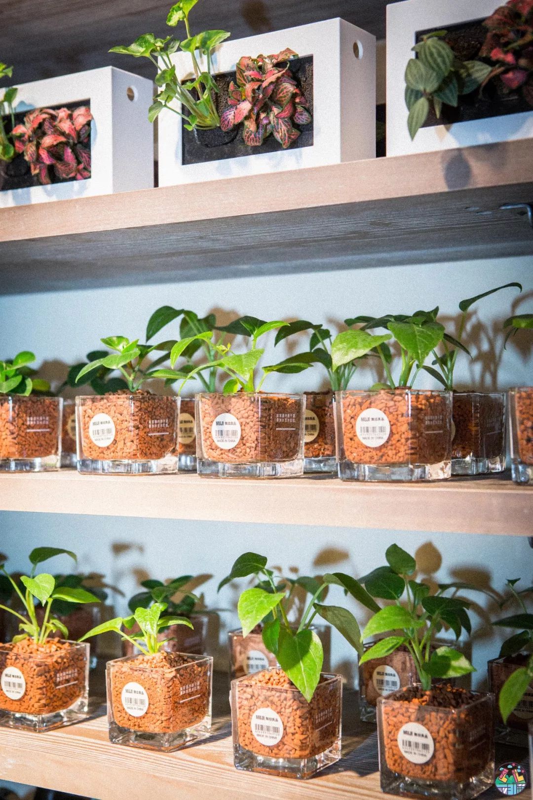 杭州muji餐厅,muji杭州开店