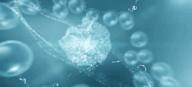 血橙保湿沐浴露,血橙氨基酸沐浴露推荐