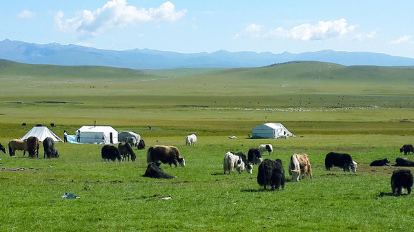 到青海湖旅游注意事项,去青海湖需要注意什么