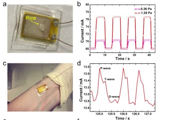 豌豆公主来源于哪个童话故事,传说中的豌豆公主