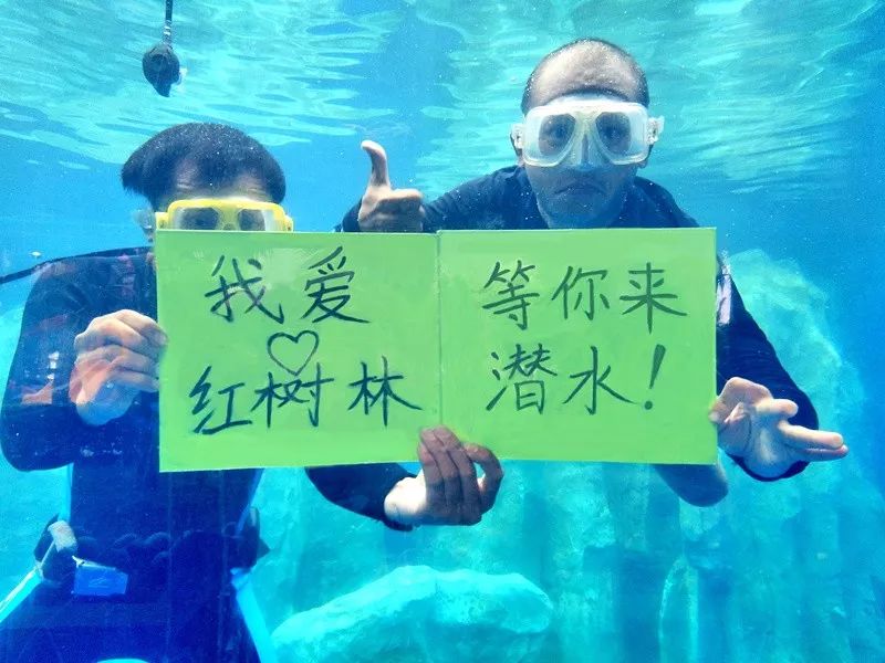 「头条」红树林春节预售优惠升级！888元起住亚龙湾，欢度温暖新春~