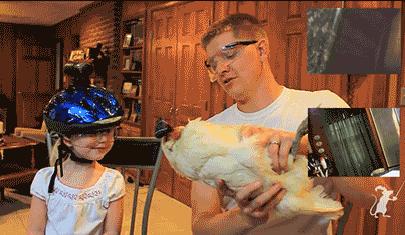 鸡头上装摄像头拍摄,鸡头摄像头拍摄视频