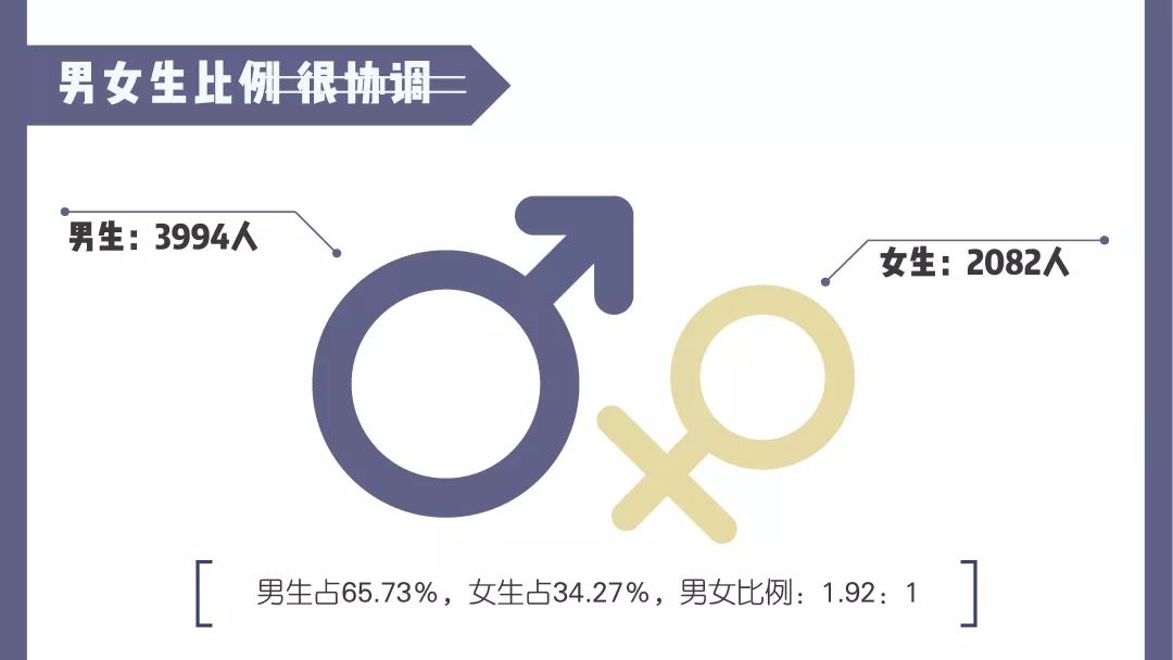 南京工业大学就业质量排行榜,南京大学2019就业质量报告
