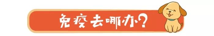 昆明养犬登记说明,昆明养犬证怎么办