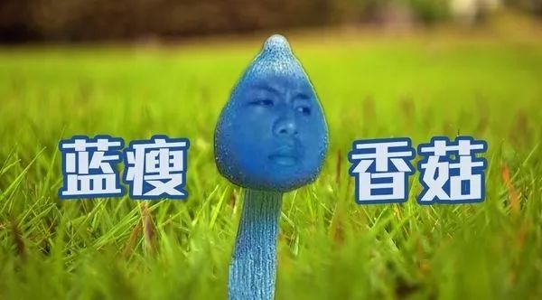 盘点2016年十大流行语,历年流行语2018