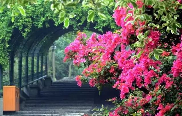 火速收藏！冬*你日**想要的日照、骑行、美食美景都在这儿~