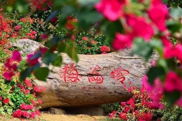 火速收藏！冬*你日**想要的日照、骑行、美食美景都在这儿~