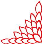 走进荷兰“花花世界”，五大赏花攻略总有一款合适您！骑行/直升机，逛花园花田，跟着花农的脚步走过这个春天