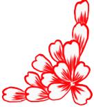 走进荷兰“花花世界”，五大赏花攻略总有一款合适您！骑行/直升机，逛花园花田，跟着花农的脚步走过这个春天