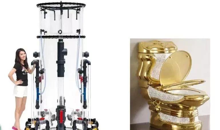 海缸基础知识大全,海缸知识大全图解