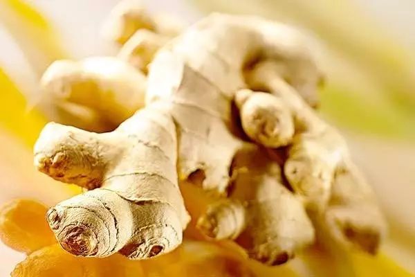 家里阳台春季可种20种蔬菜,阳台上合适种哪些蔬菜好看又营养