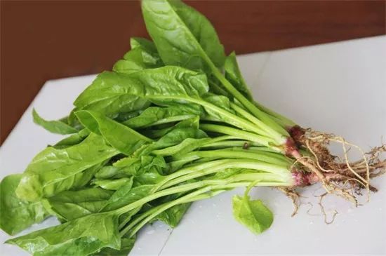 家里阳台春季可种20种蔬菜,阳台上合适种哪些蔬菜好看又营养