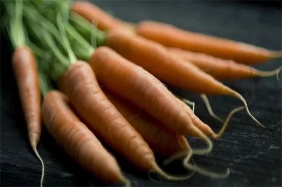 家里阳台春季可种20种蔬菜,阳台上合适种哪些蔬菜好看又营养