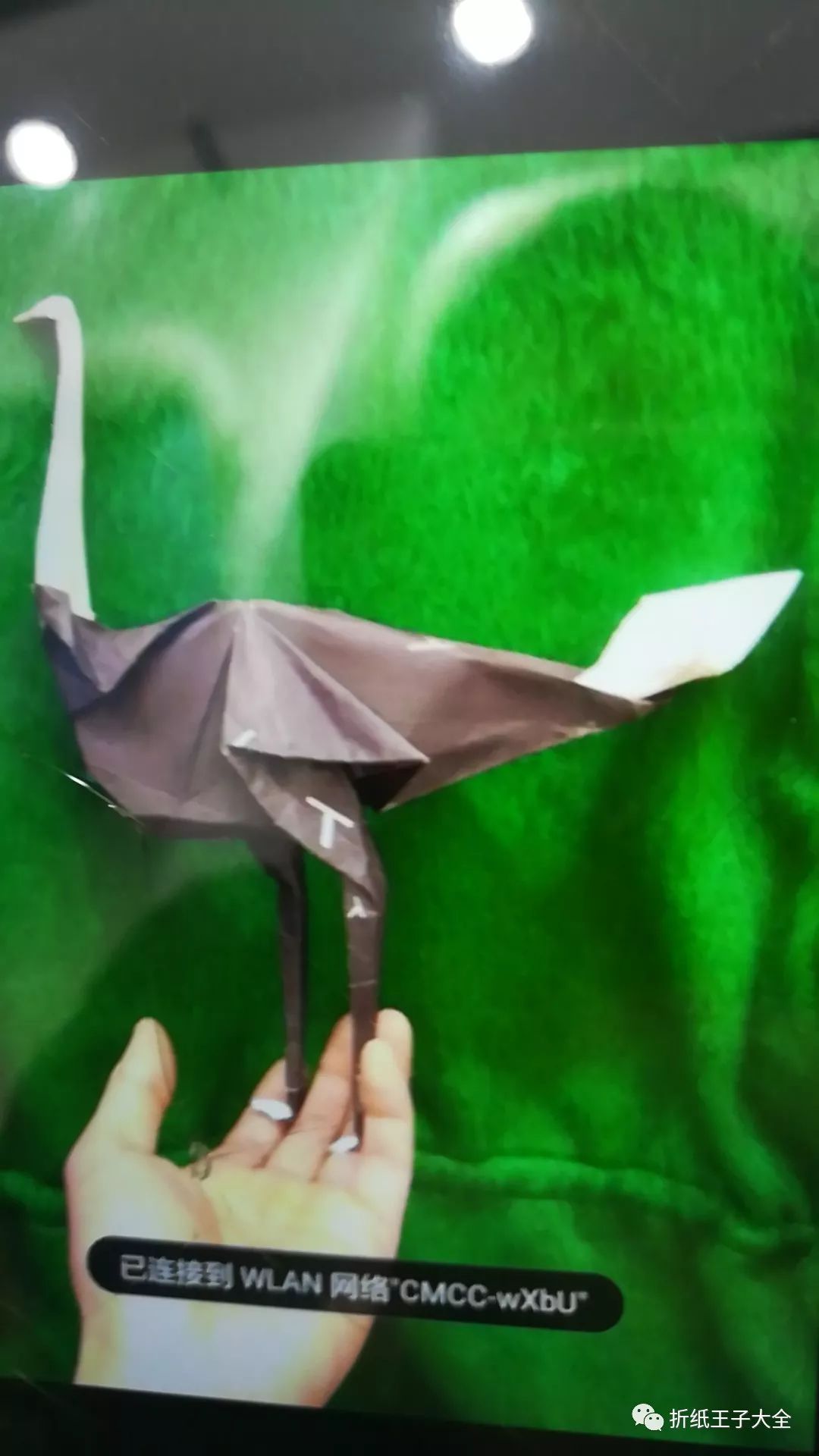 折纸作业教程,白玫瑰作业本折纸