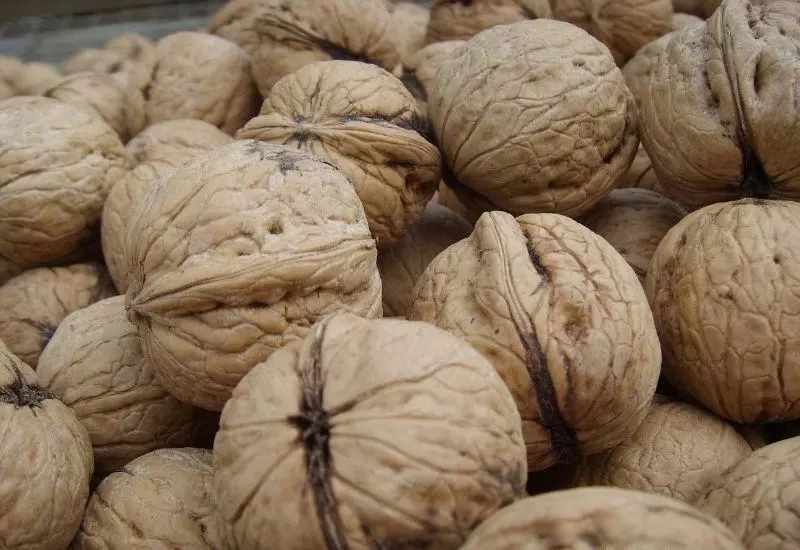 回家过年带了什么回家,过年回家带什么特产最好