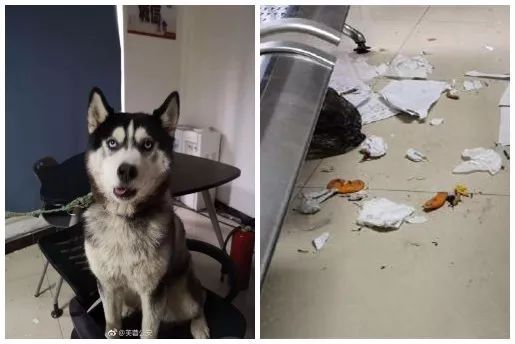 取暖器烤的腿上有红斑,冬天烤火小腿起红斑多久消失