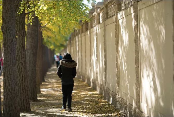 北京哪些景点未成年人免费,北京郊区免费景点推荐