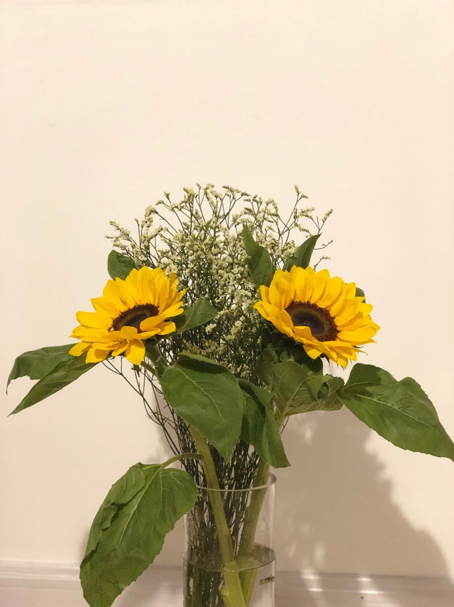 假如条件允许你最想做什么工作,10分钟28题看你合适什么工作