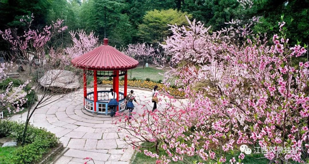 庐山人文第一山,庐山是一座风光秀丽的山